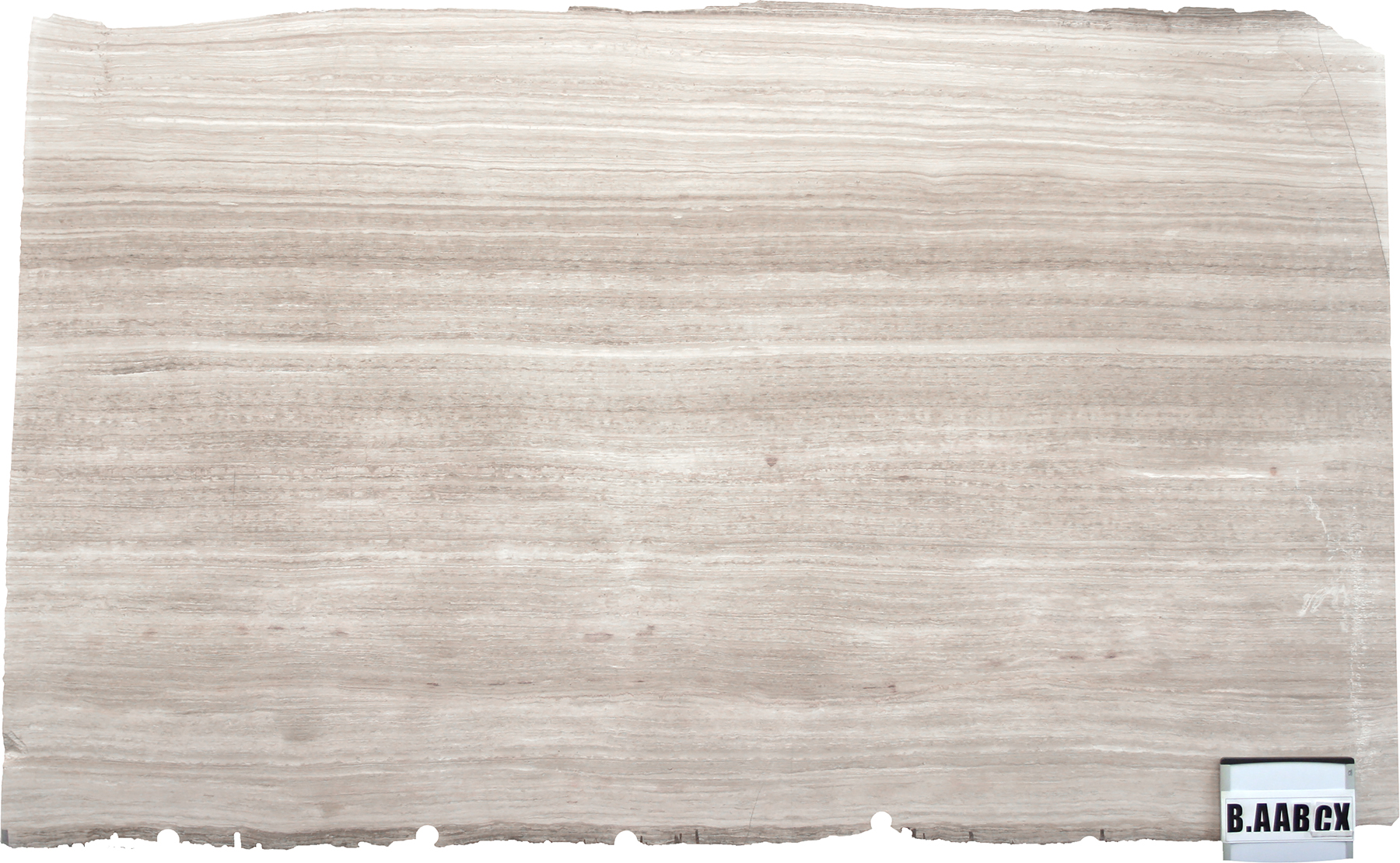 Bianco Wood V/C Honed