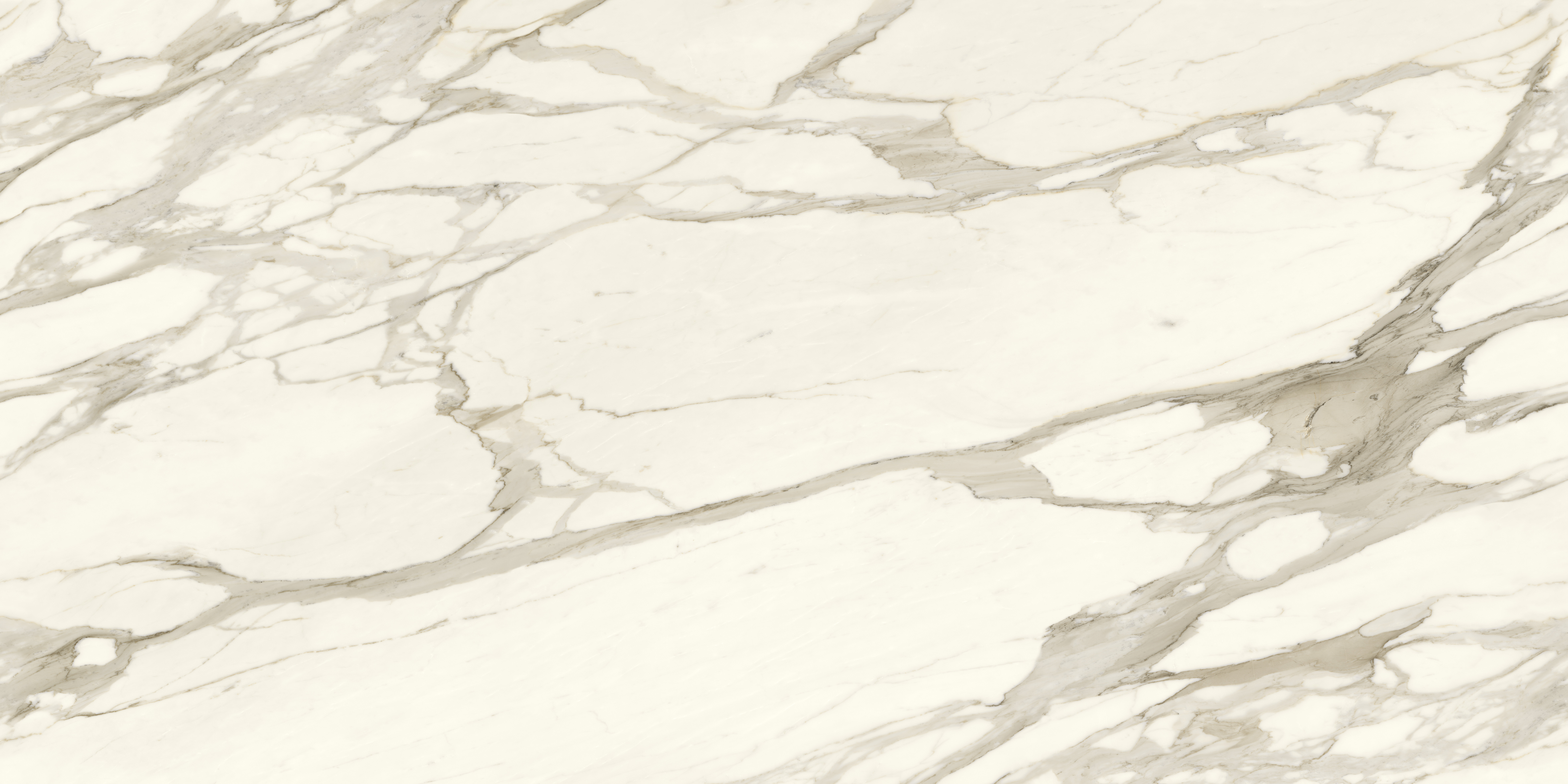 Calacatta Borghini Polished