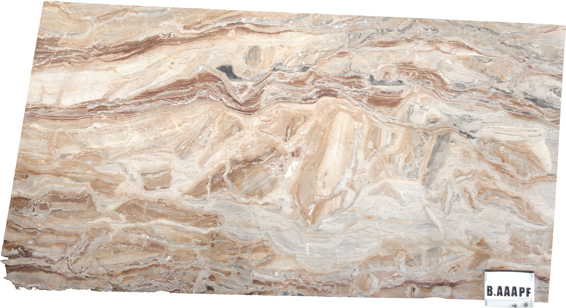 Slabs Marble Series | Natural Stones | Olympia Tile