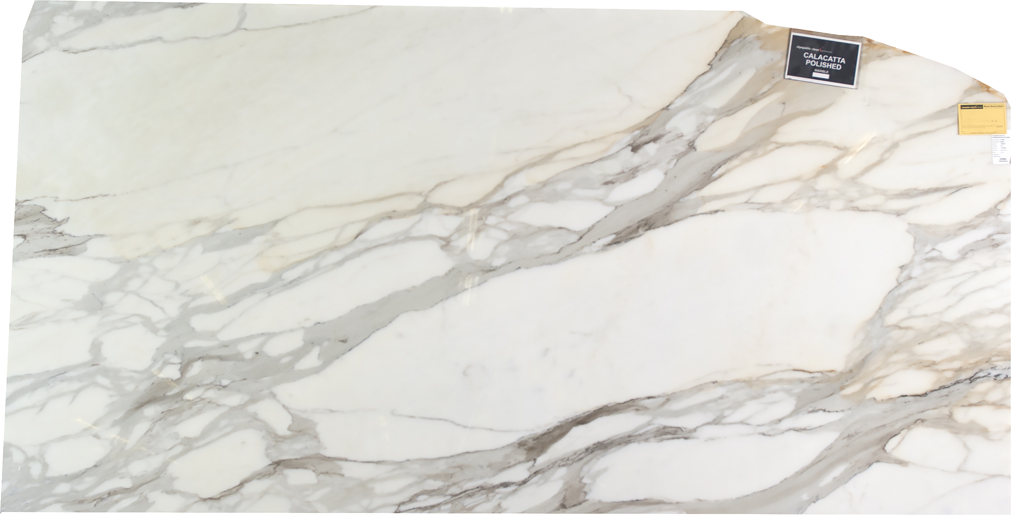 Calacatta Polished