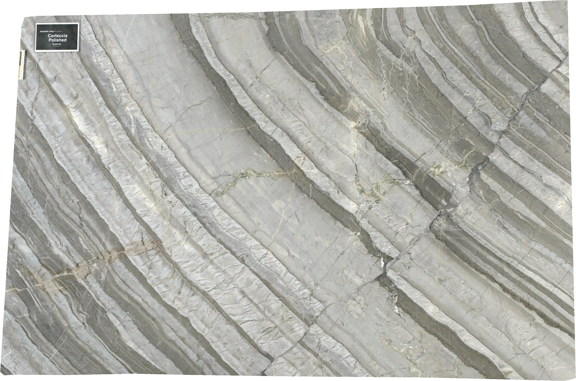 GM.SB.CORTECCIA.2CM GM.SB.CORTECCIA.2CM